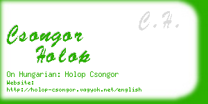 csongor holop business card